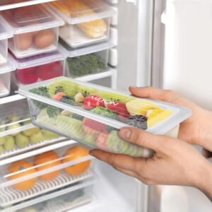 fridge storage container