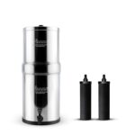 refrigerator water filter