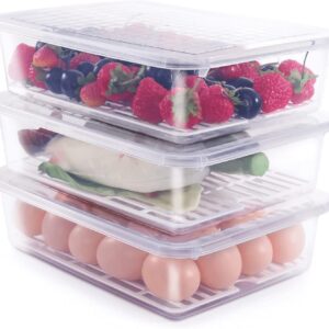 Food Storage Container with Removable Drain Plate and Lid,Stackable Portable Freezer Storage Containers Tray to Keep Fruits,Vegetables,Freezer Organizer 2500ML (Pack Of 6)(Plastic)